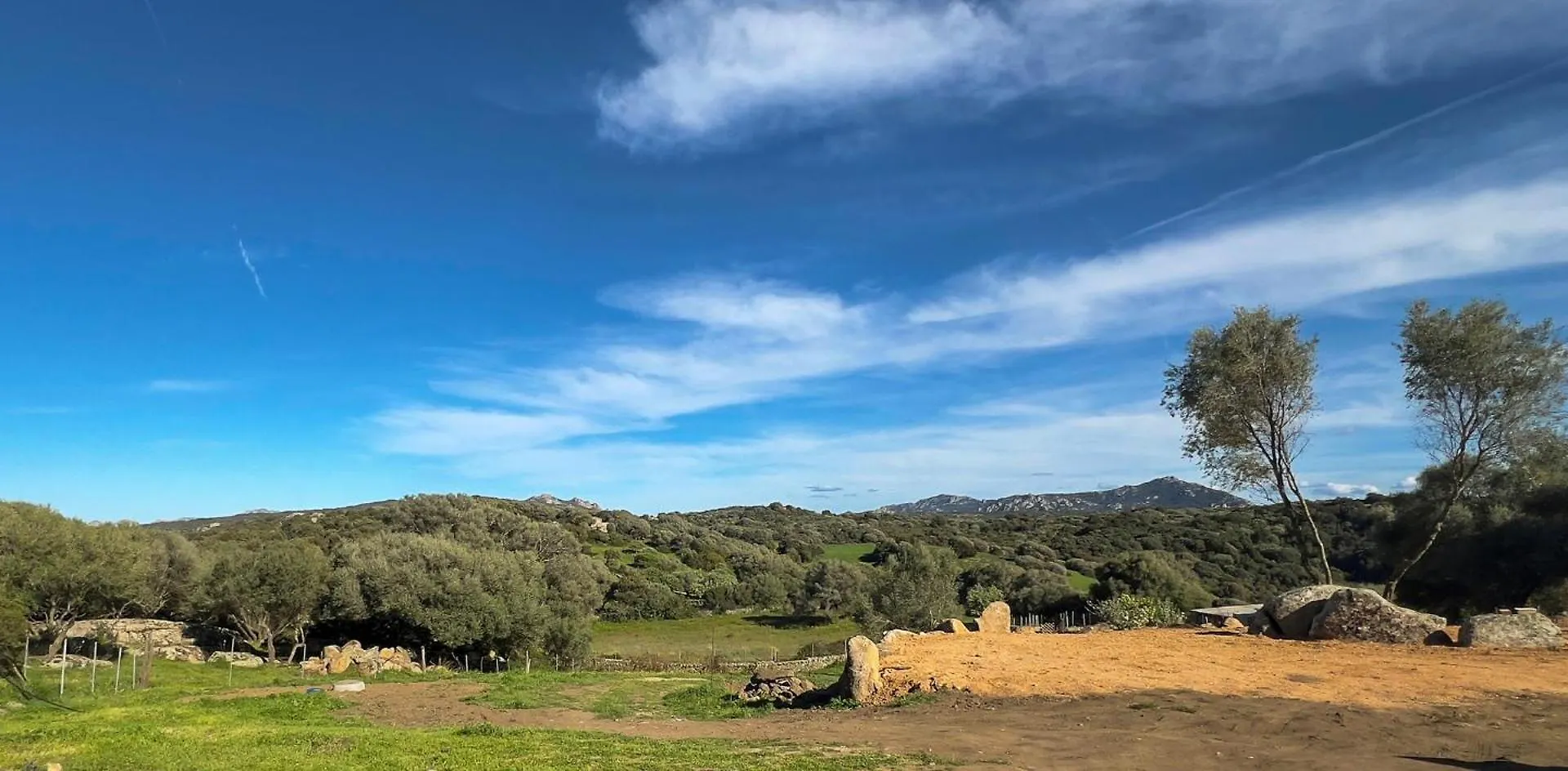L'Olivastro Mini Country House Sant'Antonio di Gallura